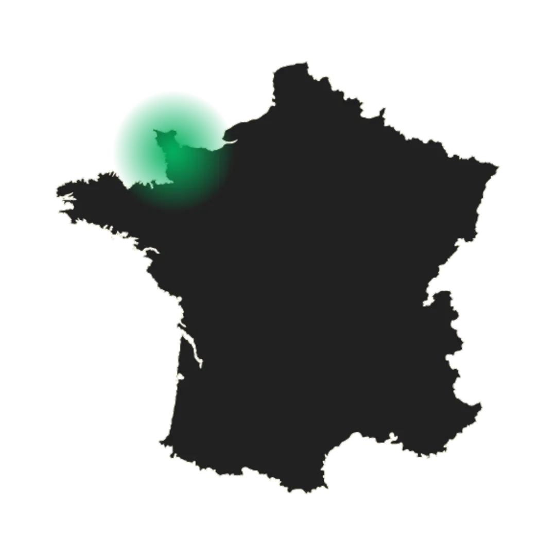 serveur anniversaire coutances